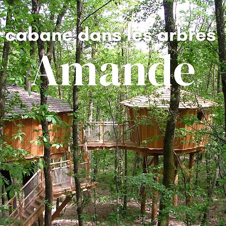 Les Cabanes De Fontfroide Saint-Antoine  Dış mekan fotoğraf