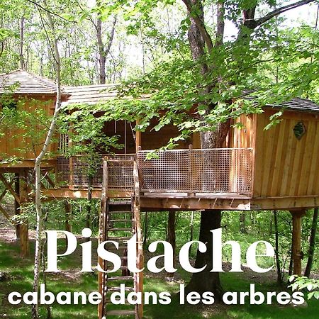 Les Cabanes De Fontfroide Saint-Antoine  Dış mekan fotoğraf