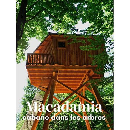 Les Cabanes De Fontfroide Saint-Antoine  Dış mekan fotoğraf