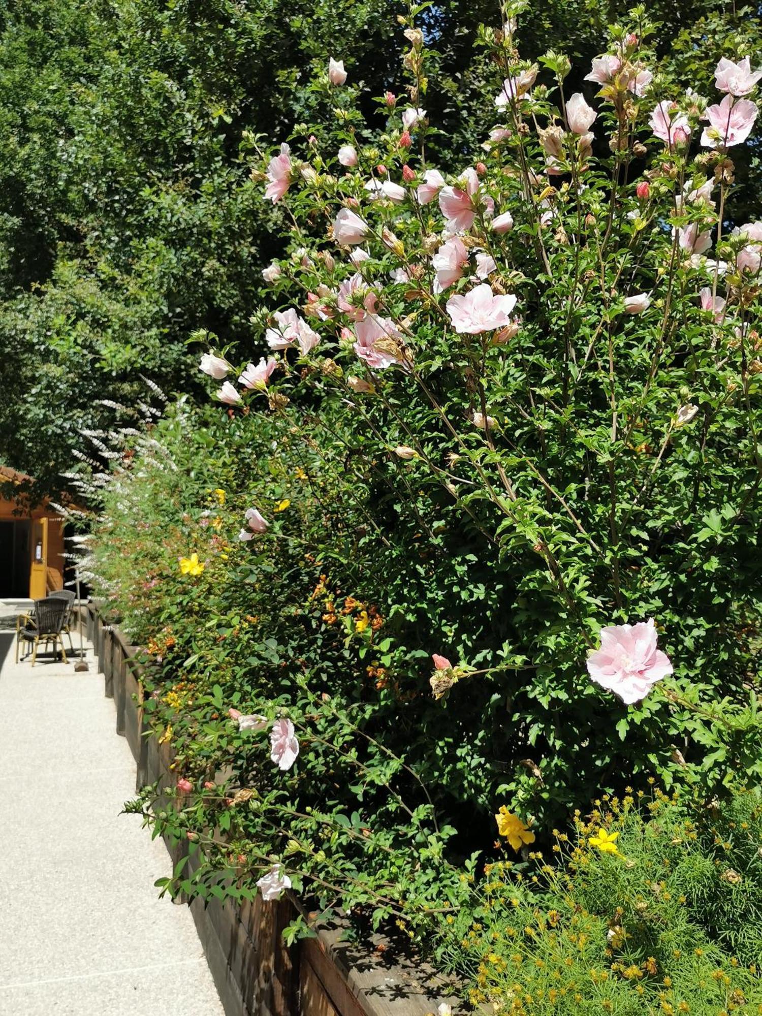 Les Cabanes De Fontfroide Saint-Antoine  Dış mekan fotoğraf
