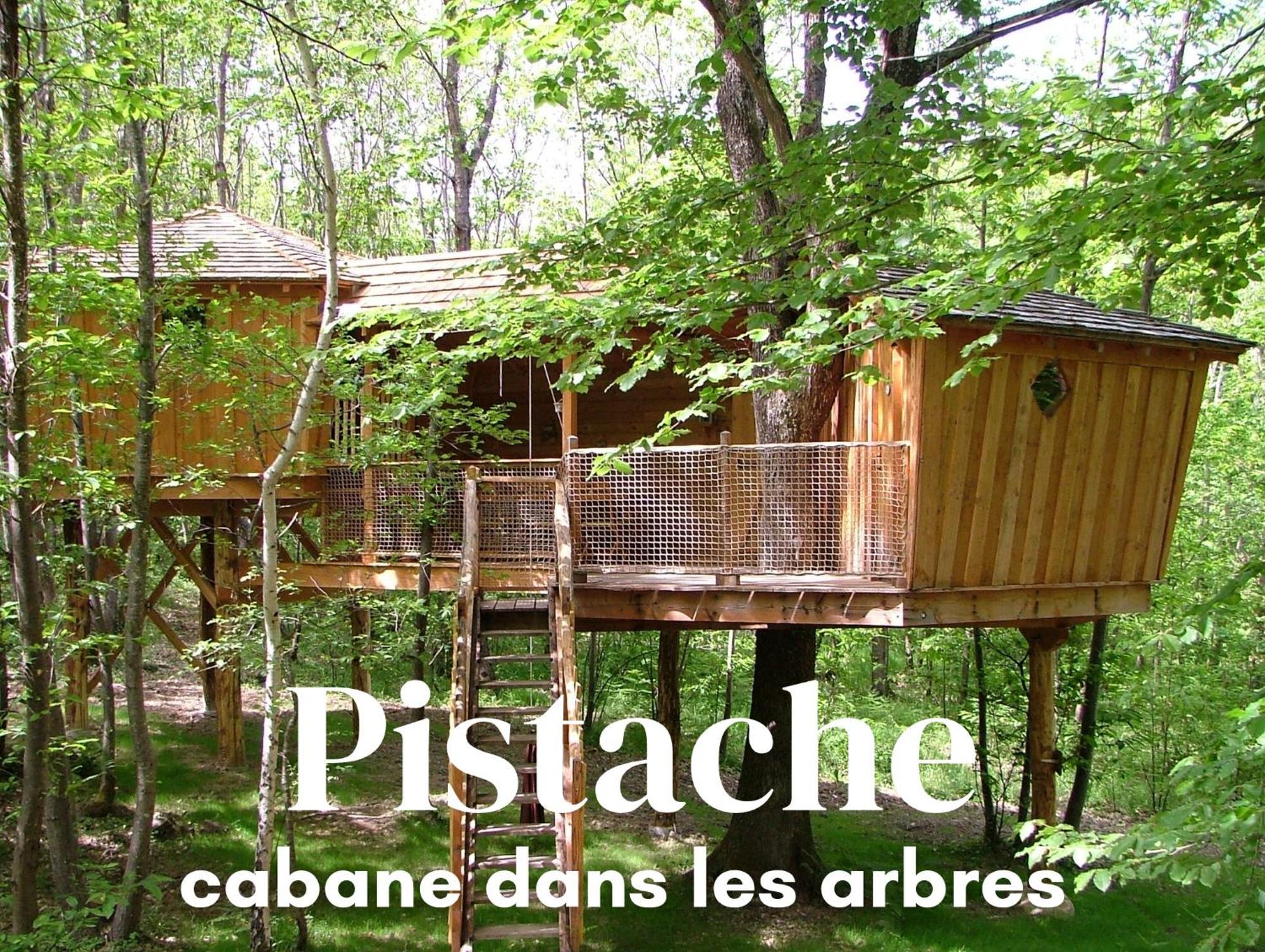 Les Cabanes De Fontfroide Saint-Antoine  Dış mekan fotoğraf