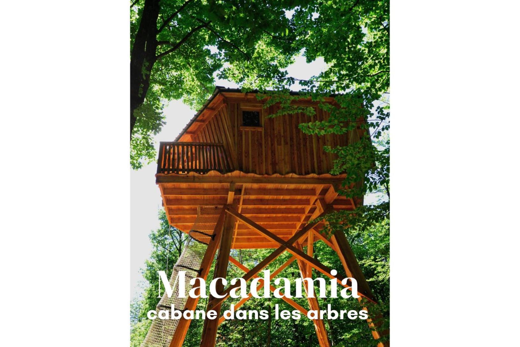Les Cabanes De Fontfroide Saint-Antoine  Dış mekan fotoğraf